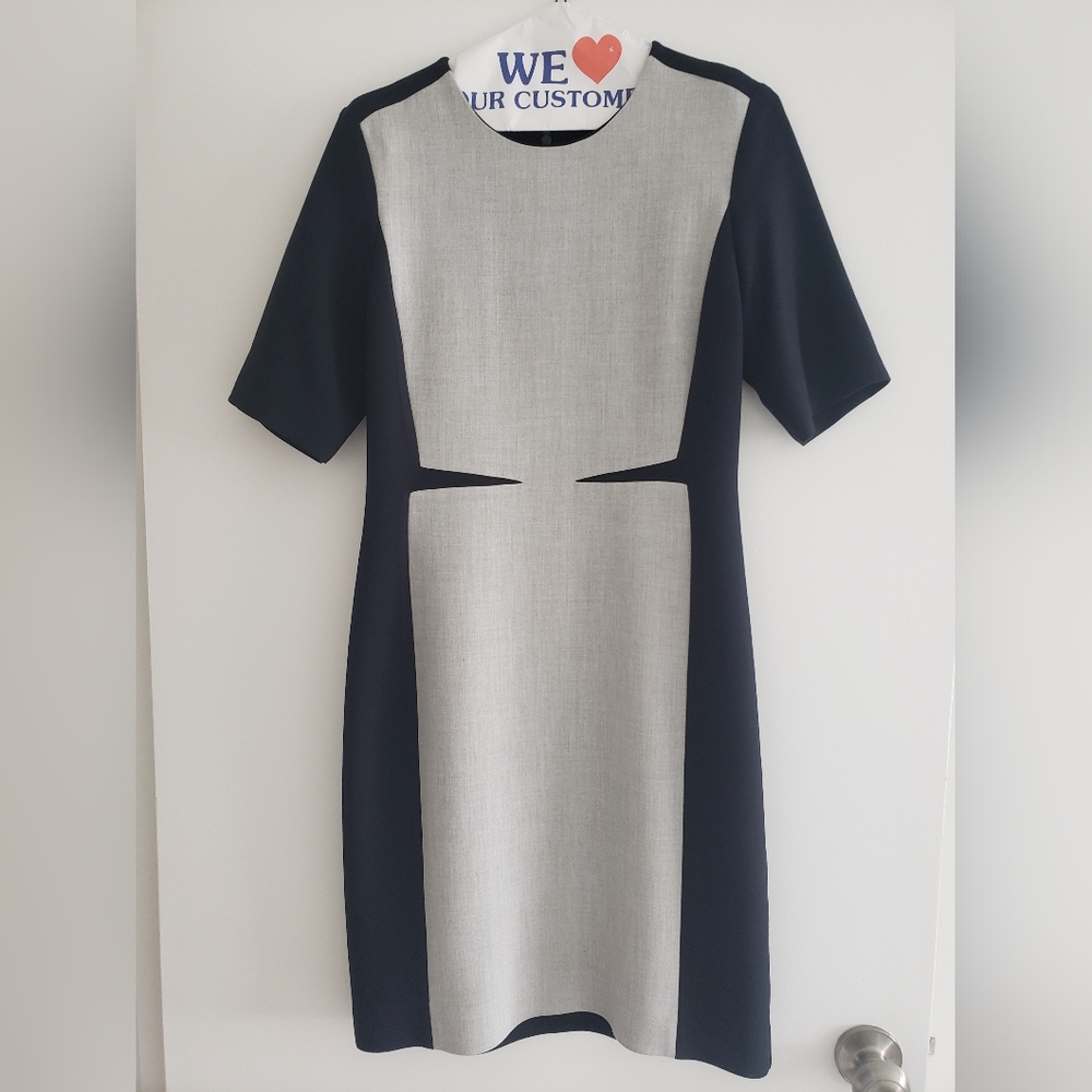 COS Color Block Sheath Dress US6